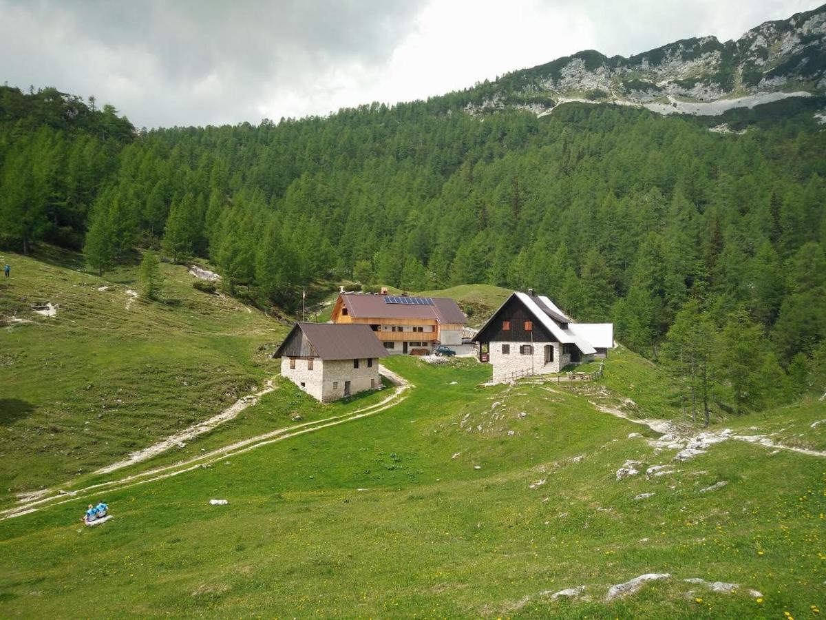 Homestead Zatrnik Near Bled Exterior foto