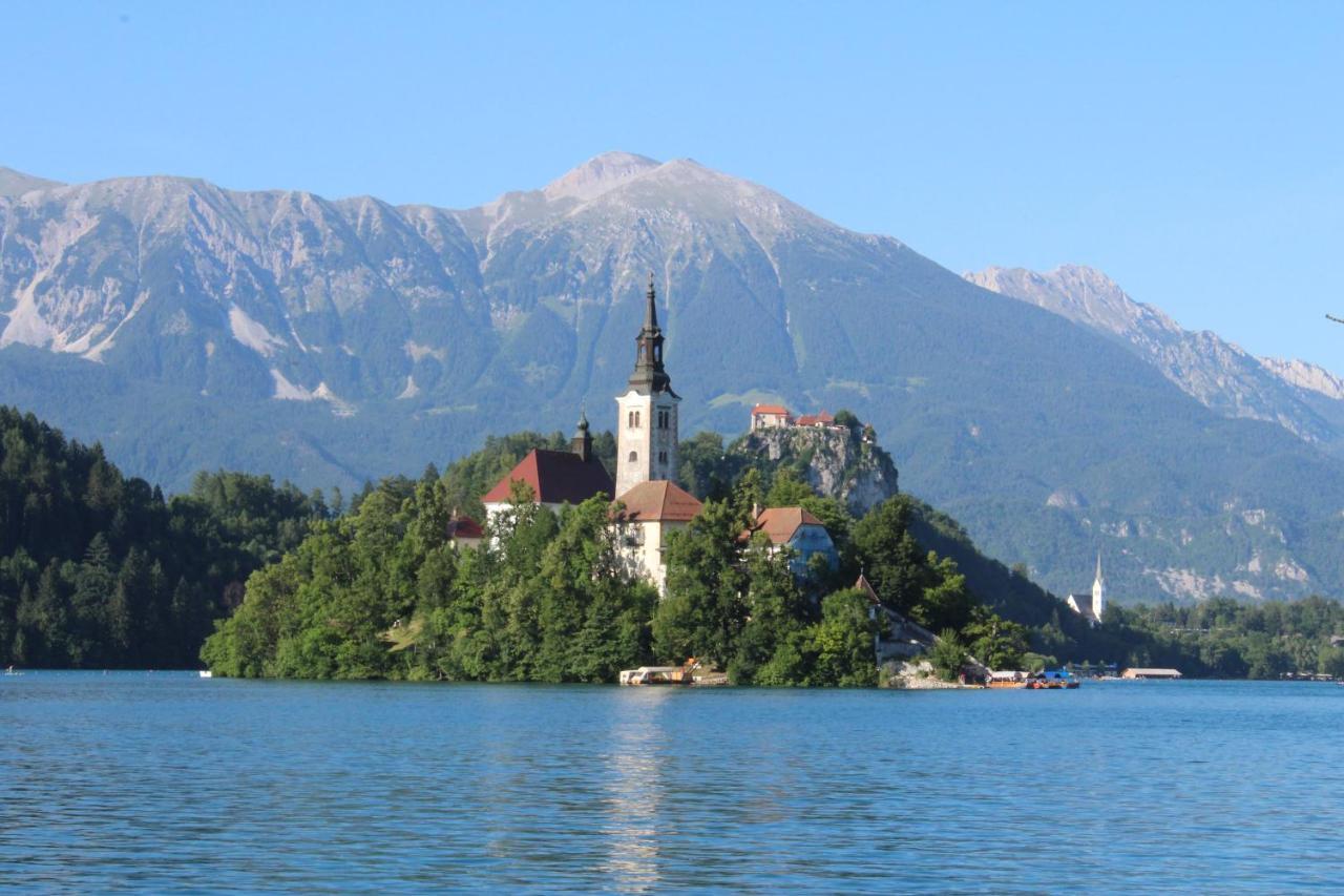 Homestead Zatrnik Near Bled Exterior foto